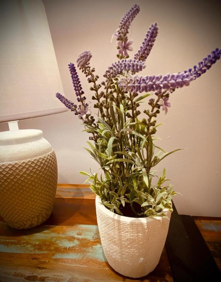 La Villa Des Ames Liees 드라기냥 외부 사진